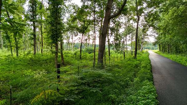 10 Acres of Land for Sale in West Paducah, Kentucky