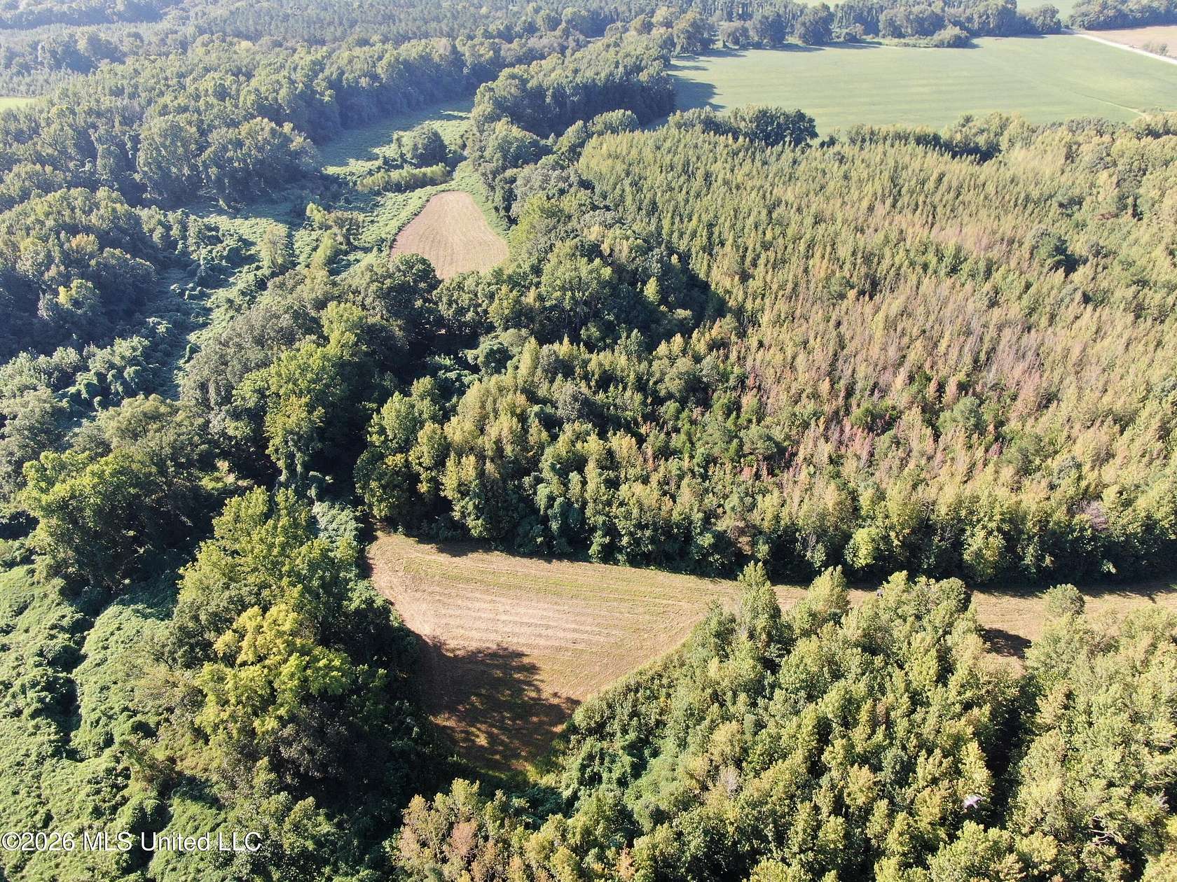 230 Acres of Land for Sale in Sardis, Mississippi