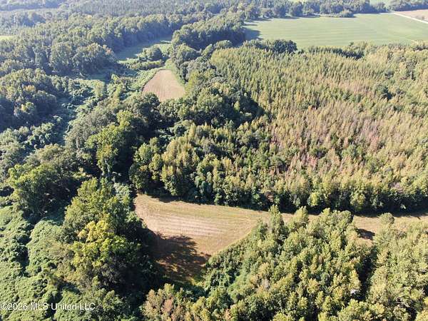 230 Acres of Land for Sale in Sardis, Mississippi
