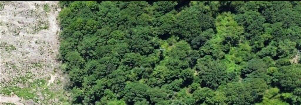 3.5 Acres of Land for Sale in Call, Texas