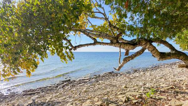 18.5 Acres of Recreational Land for Sale in Garden, Michigan