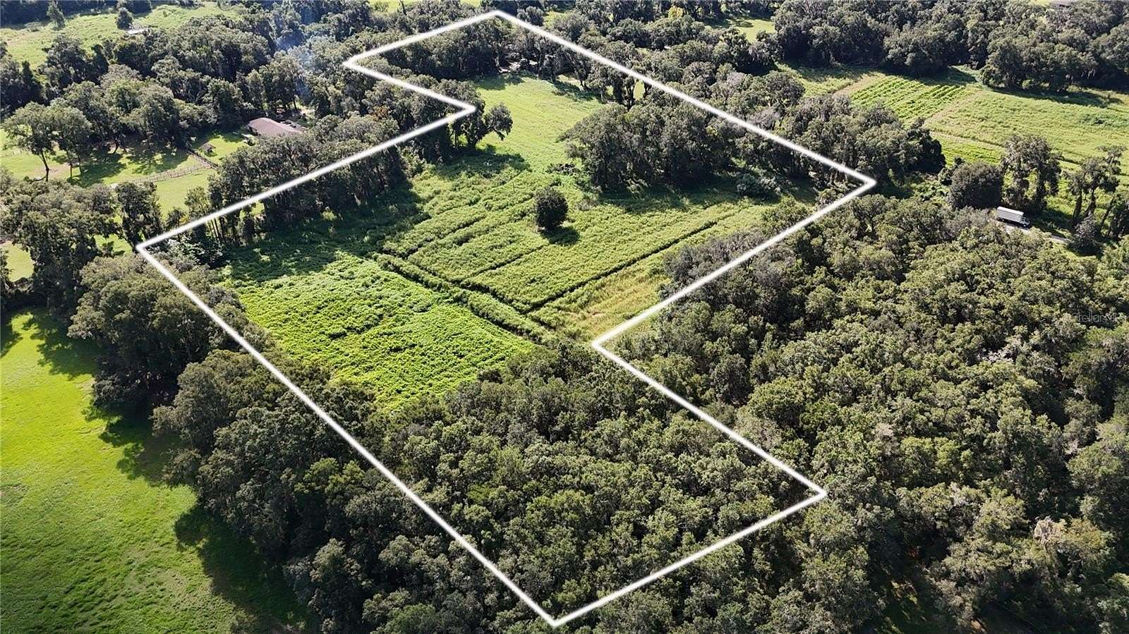 10 Acres of Land for Sale in Reddick, Florida