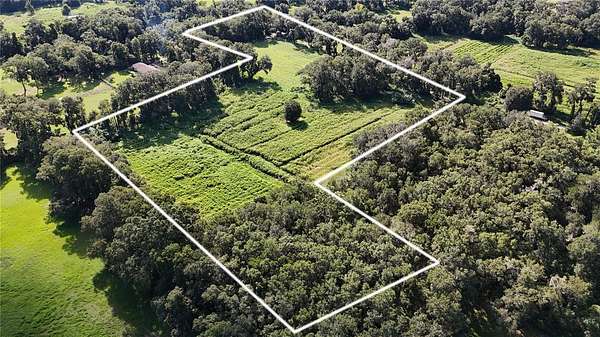 10 Acres of Land for Sale in Reddick, Florida