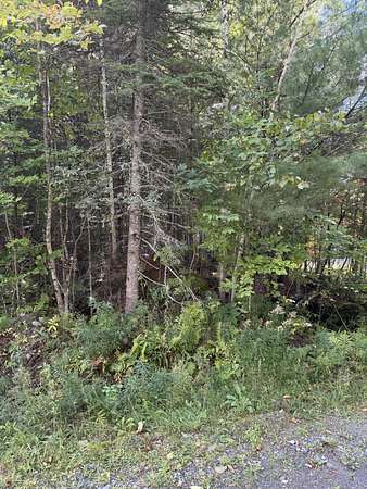 1.2 Acres of Residential Land for Sale in Sebec, Maine
