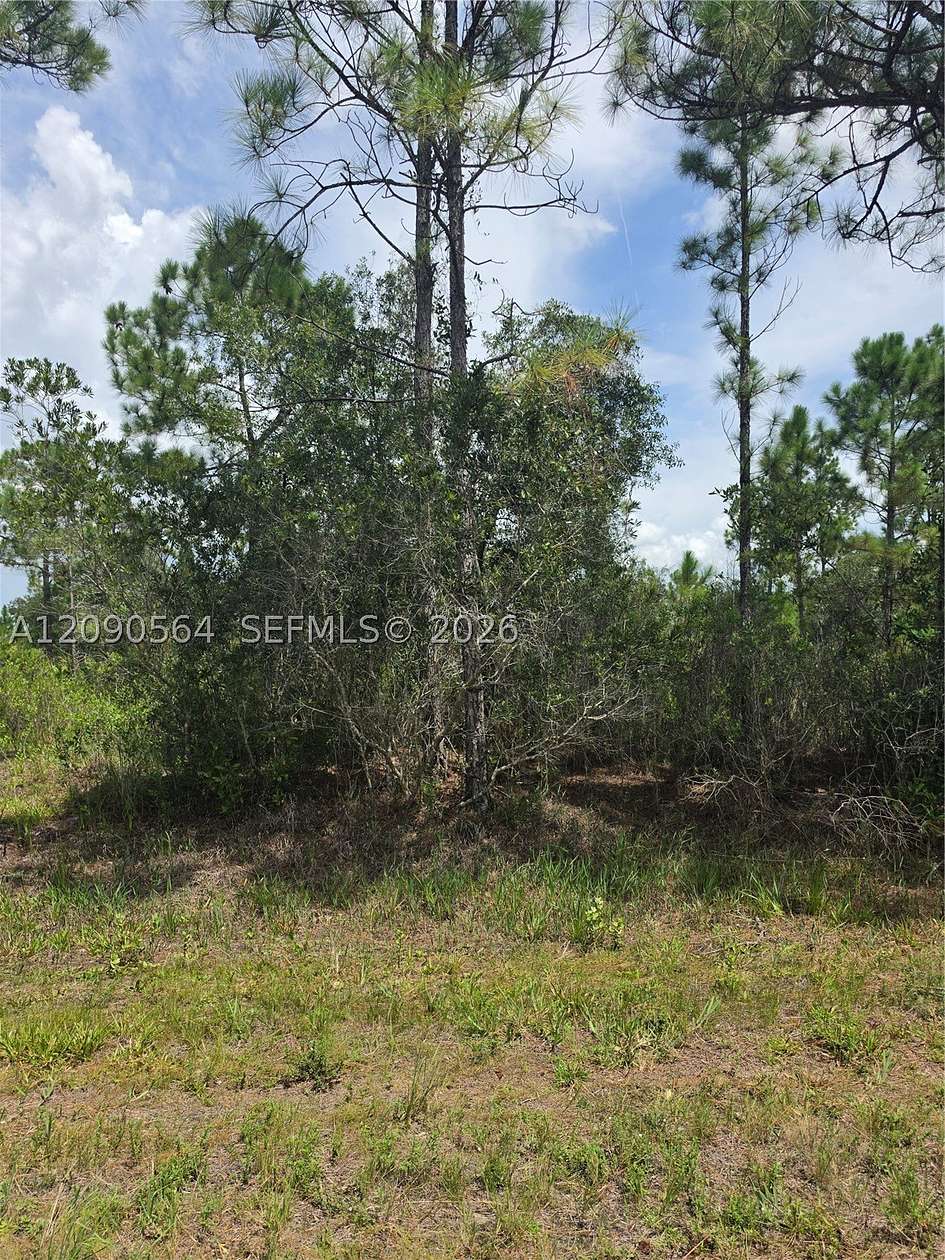 0.5 Acres of Land for Sale in Babson Park, Florida