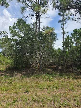 0.5 Acres of Land for Sale in Babson Park, Florida