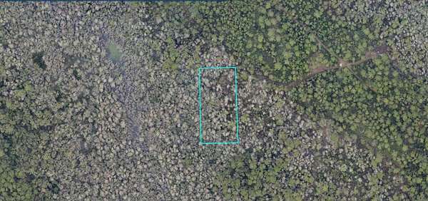 5 Acres of Land for Sale in Lake Helen, Florida