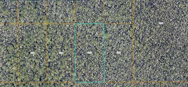 1.25 Acres of Land for Sale in DeLand, Florida