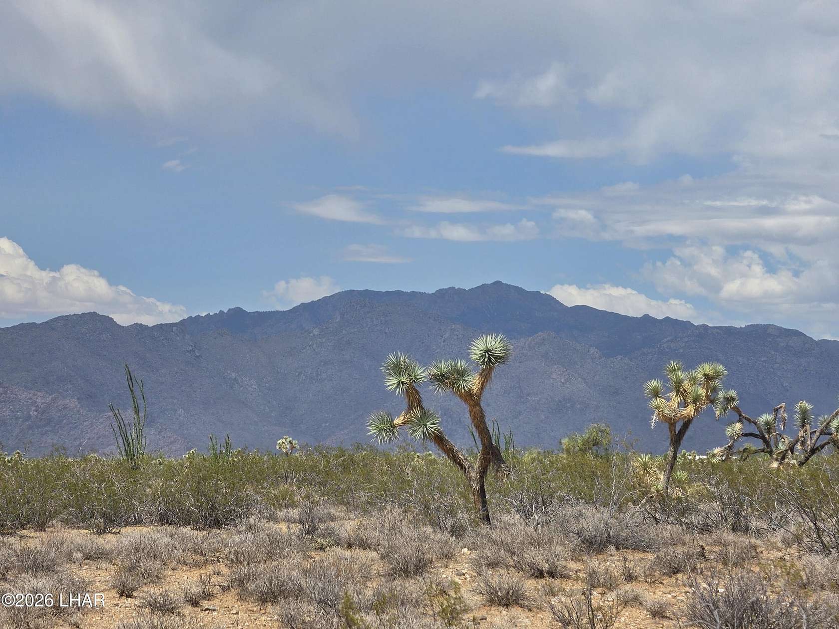 38 Acres of Land for Sale in Yucca, Arizona