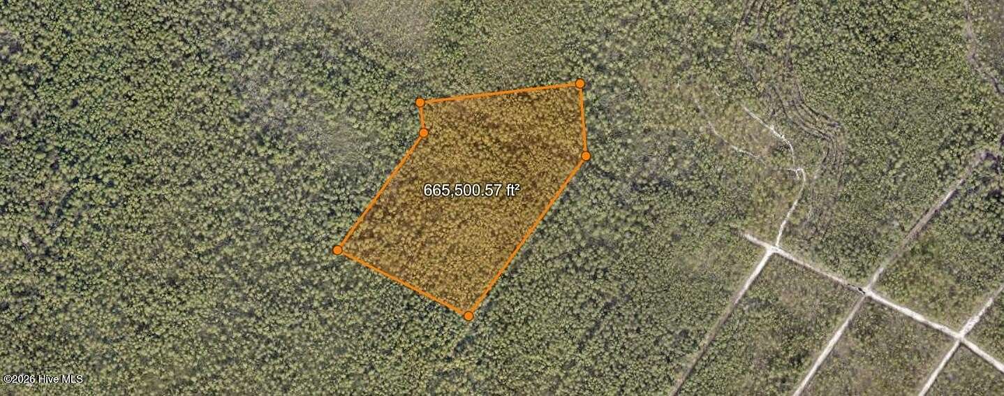 15.4 Acres of Recreational Land for Sale in Boiling Spring Lakes, North Carolina