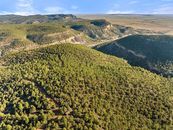 40 Acres of Land for Sale in Trinidad, Colorado