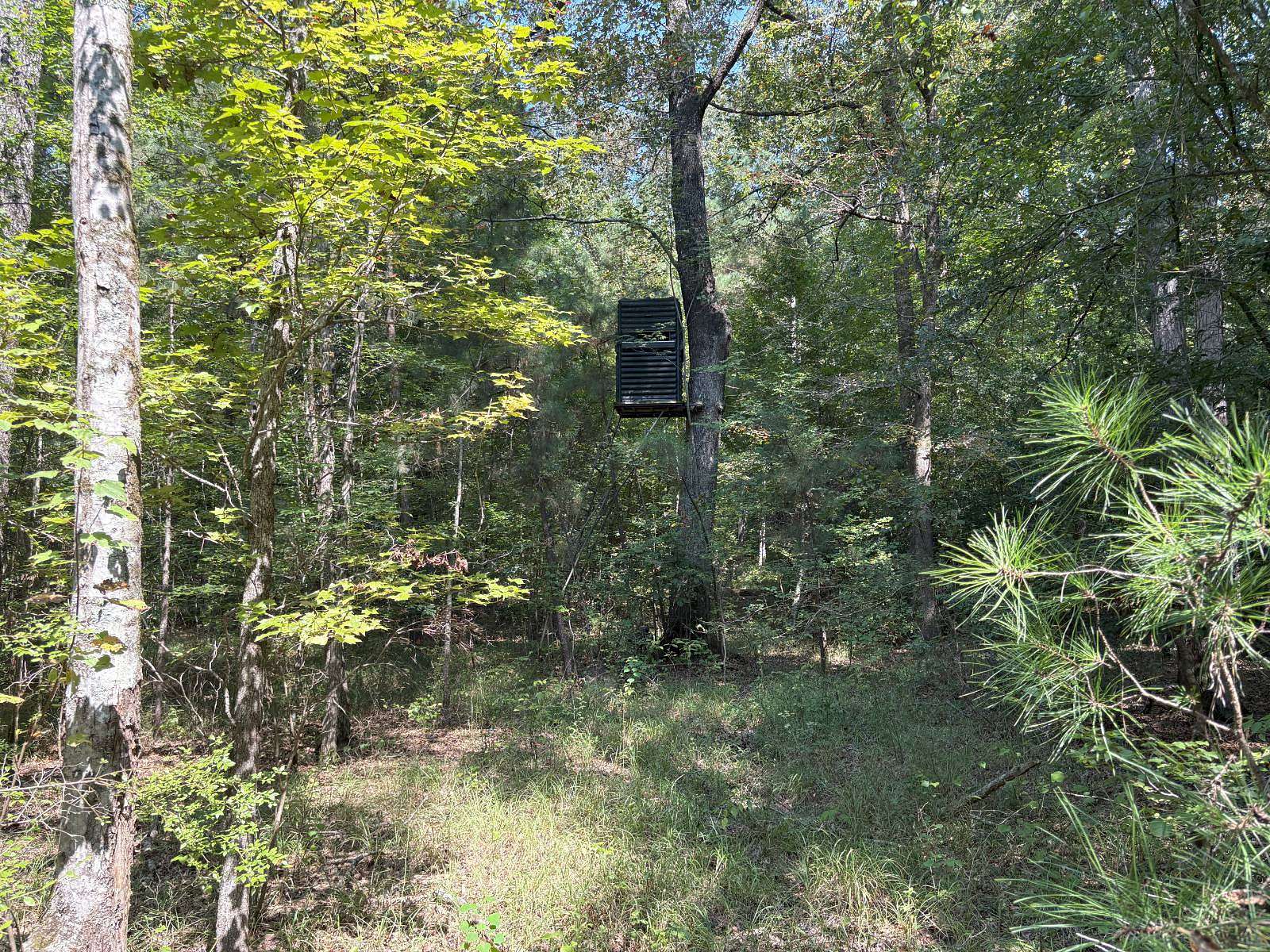 20 Acres of Recreational Land for Sale in Strong, Arkansas