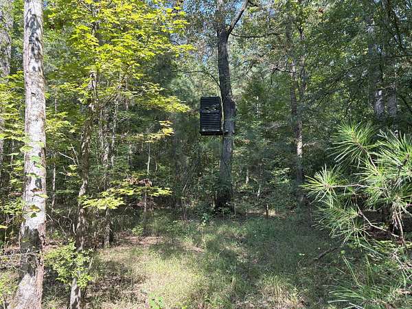 20 Acres of Recreational Land for Sale in Strong, Arkansas
