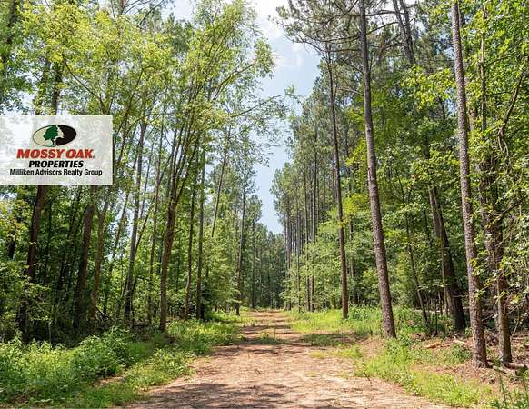 42 Acres of Recreational Land for Sale in Greenwood, South Carolina