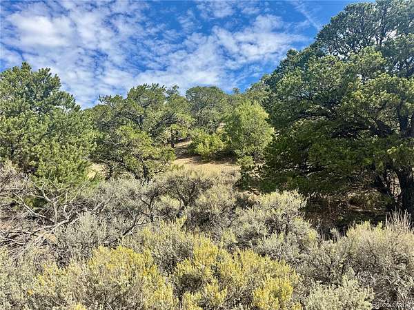 5 Acres of Residential Land for Sale in Fort Garland, Colorado