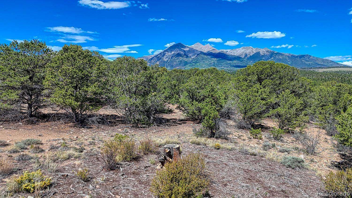 13.5 Acres of Recreational Land for Sale in Salida, Colorado
