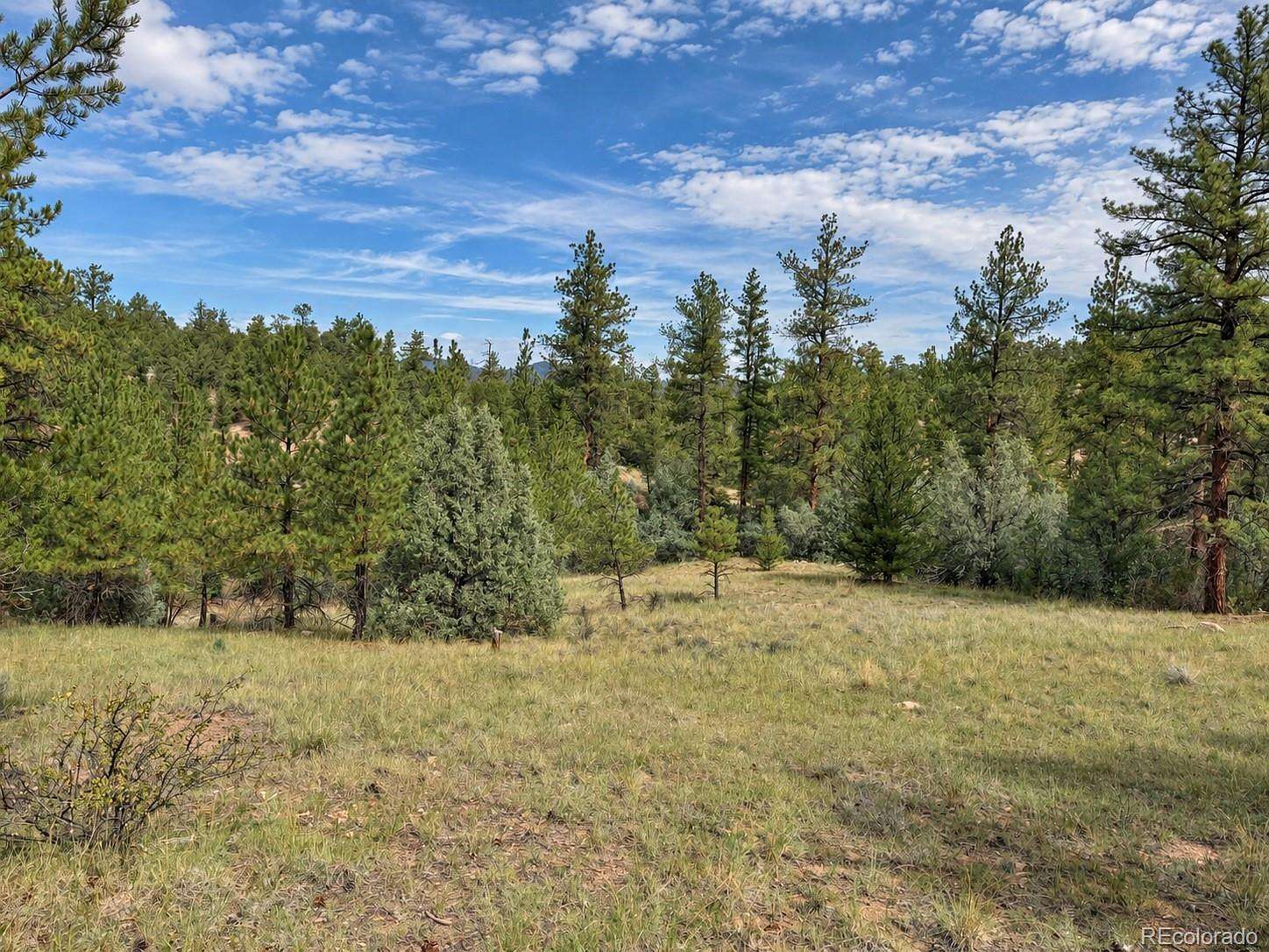 8.18 Acres of Land for Sale in Cotopaxi, Colorado