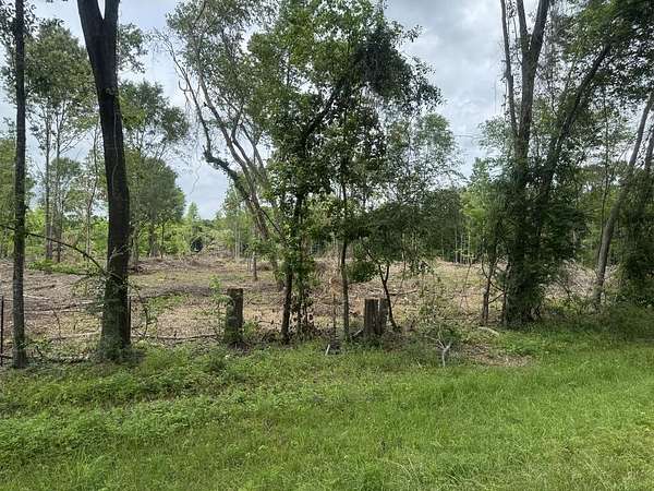 15 Acres of Recreational Land for Sale in Pollok, Texas