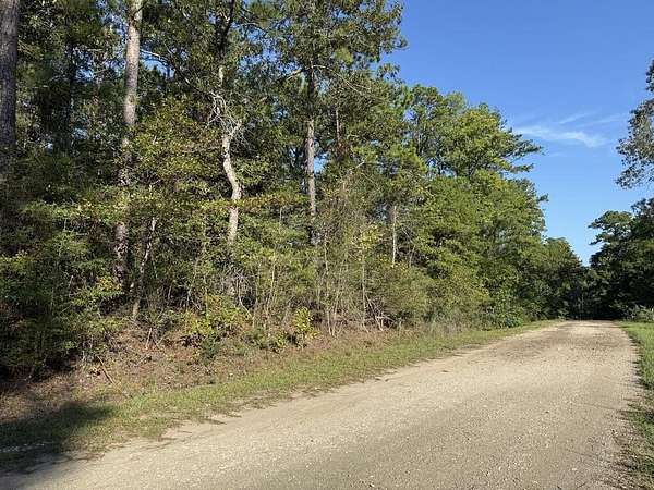 0.31 Acres of Residential Land for Sale in Brookeland, Texas