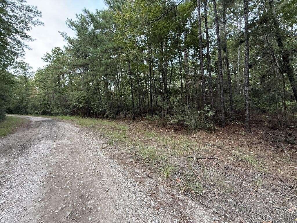 0.22 Acres of Residential Land for Sale in Brookeland, Texas