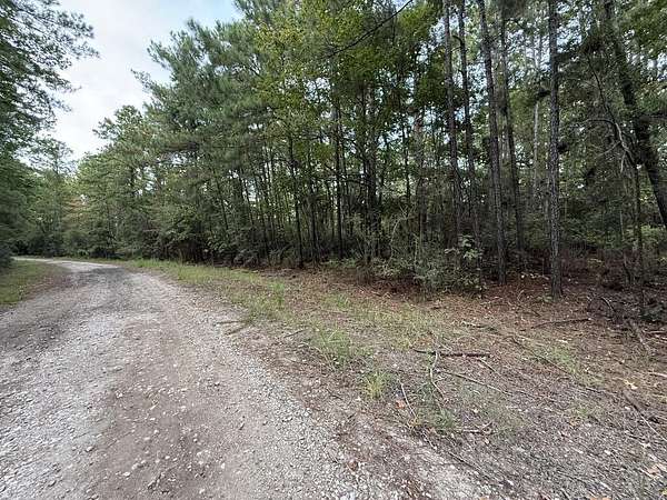 0.22 Acres of Residential Land for Sale in Brookeland, Texas