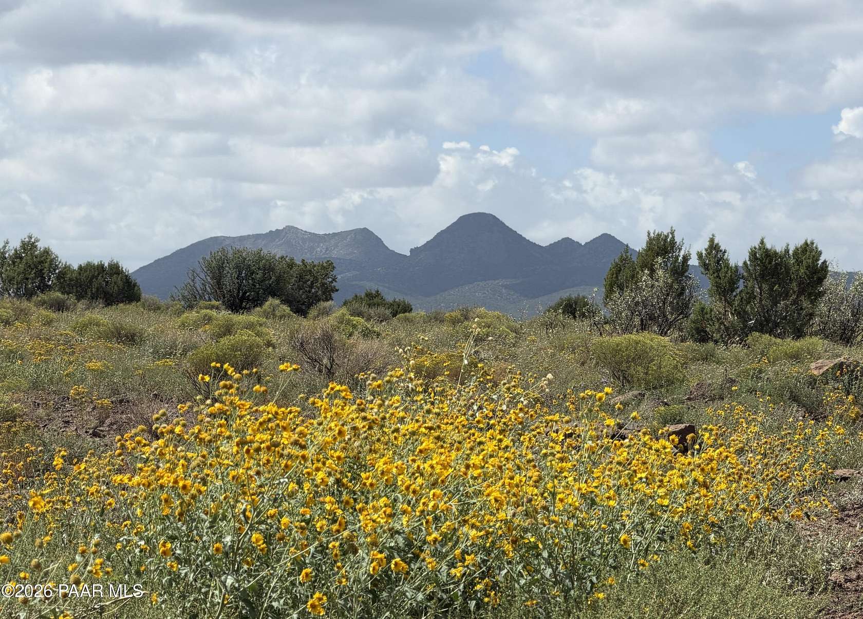 40 Acres of Recreational Land for Sale in Williams, Arizona