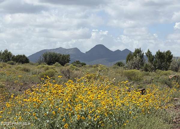 40 Acres of Recreational Land for Sale in Williams, Arizona