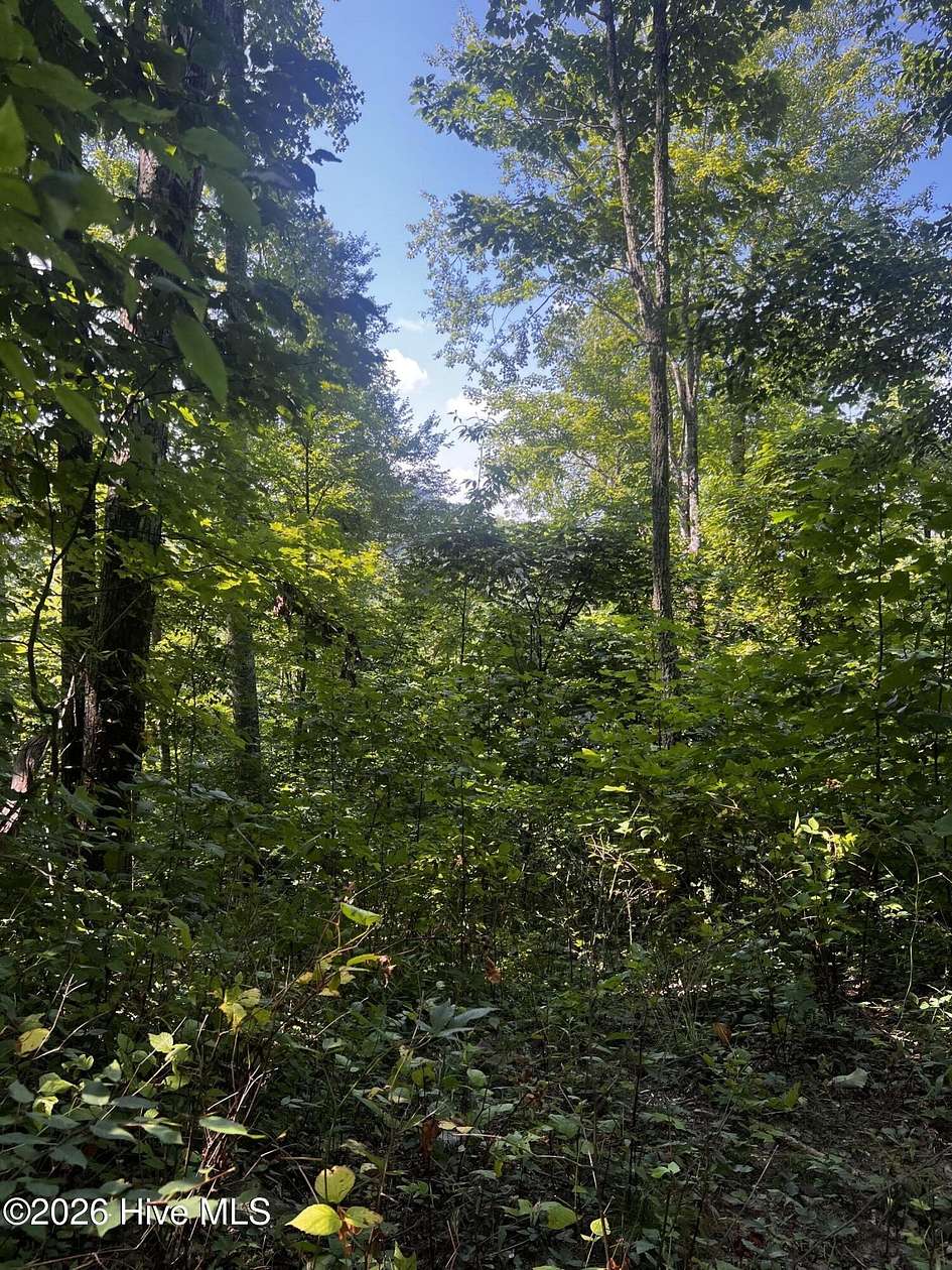 20.5 Acres of Recreational Land for Sale in Topton, North Carolina