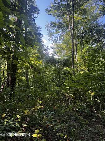 20.5 Acres of Recreational Land for Sale in Topton, North Carolina
