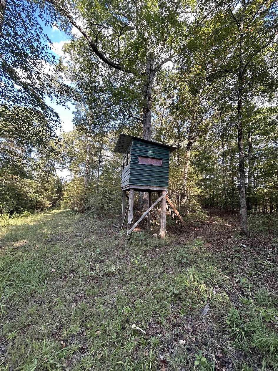 30 Acres of Recreational Land for Sale in Cove, Arkansas