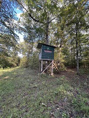 30 Acres of Recreational Land for Sale in Cove, Arkansas