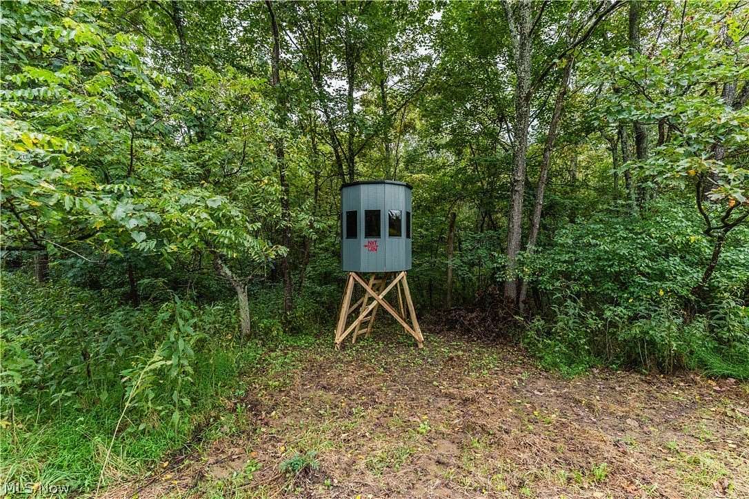28 Acres of Recreational Land for Auction in Dresden, Ohio