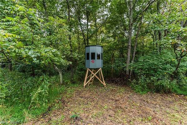 28 Acres of Recreational Land for Auction in Dresden, Ohio