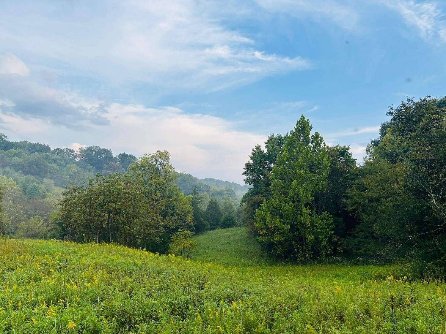 43.7 Acres of Land for Sale in Brookville, Indiana