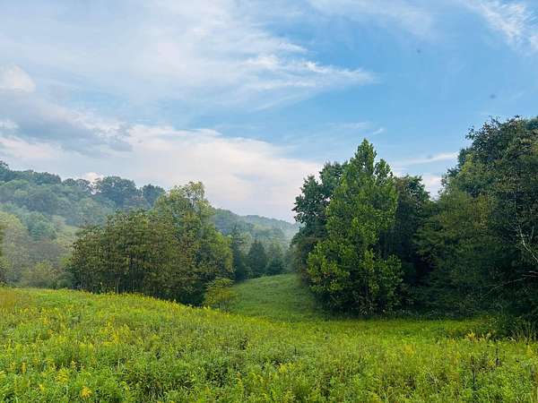 43.7 Acres of Land for Sale in Brookville, Indiana