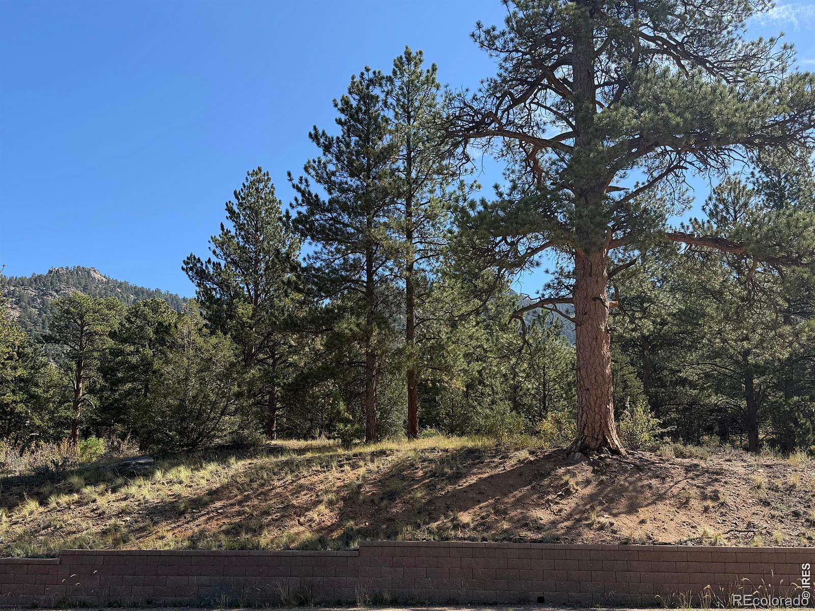 1.2 Acres of Residential Land for Sale in Estes Park, Colorado