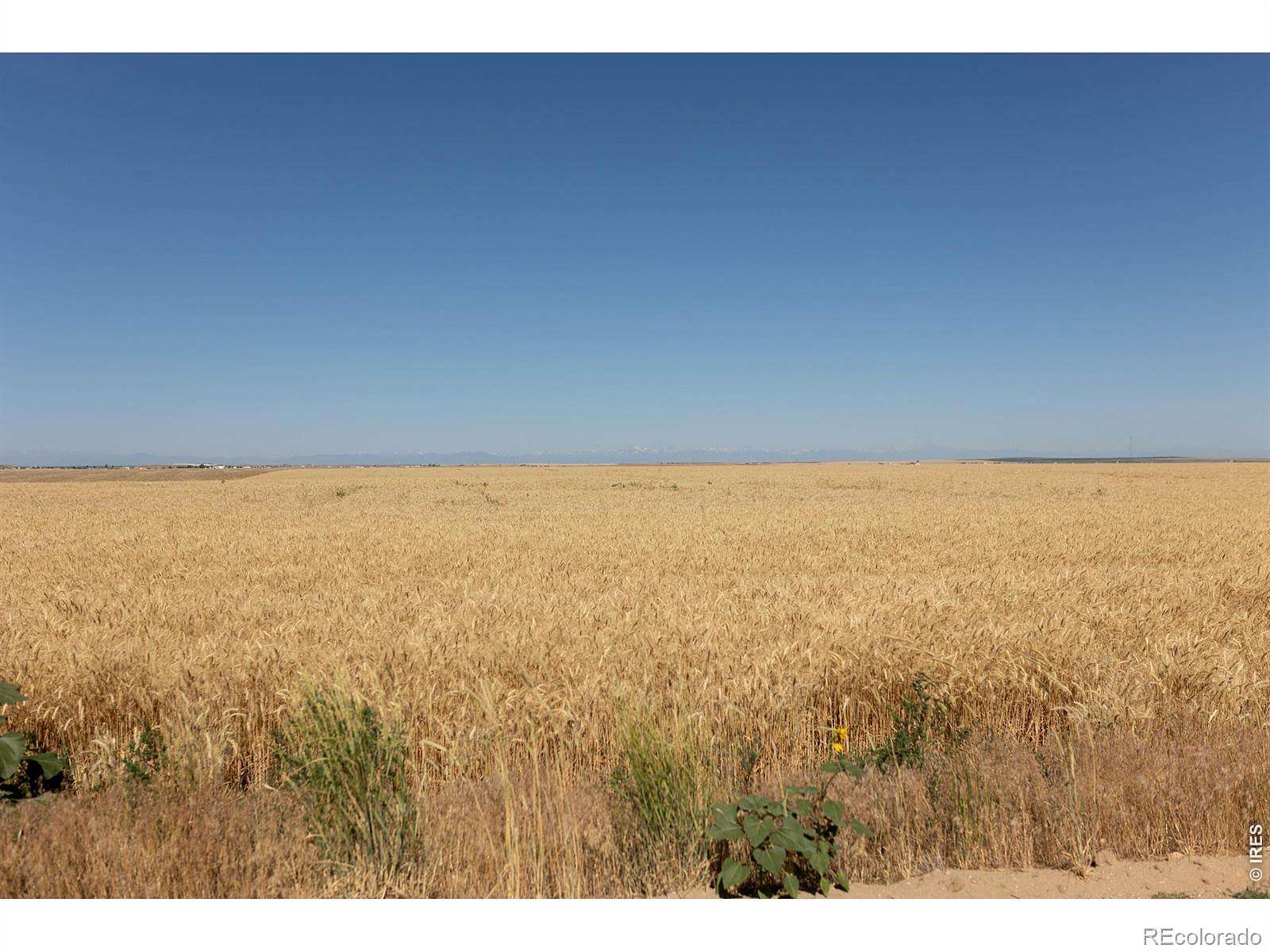 35.5 Acres of Recreational & Residential Land for Sale in Bennett, Colorado