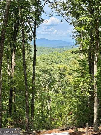 1.53 Acres of Land for Sale in Blue Ridge, Georgia