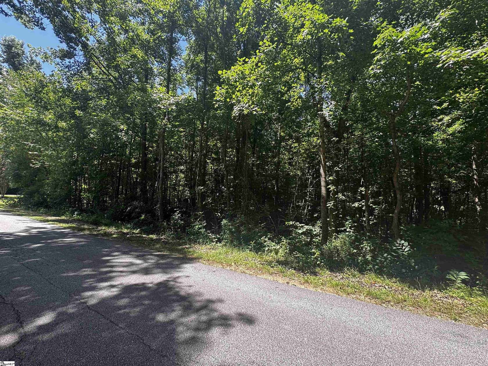 1.5 Acres of Residential Land for Sale in Clinton, South Carolina