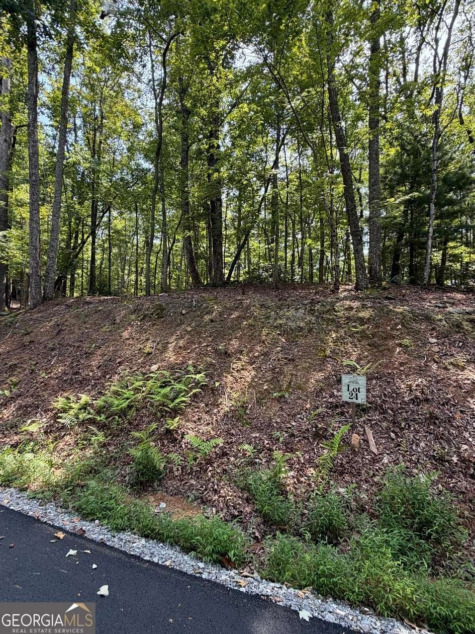 1.73 Acres of Land for Sale in Blue Ridge, Georgia