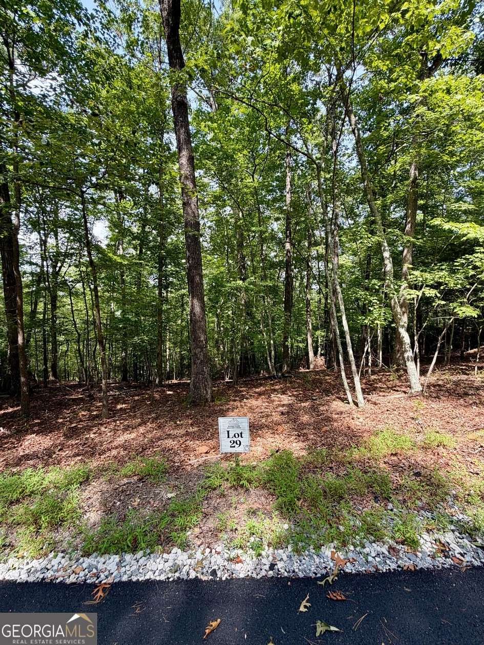 2.4 Acres of Land for Sale in Blue Ridge, Georgia