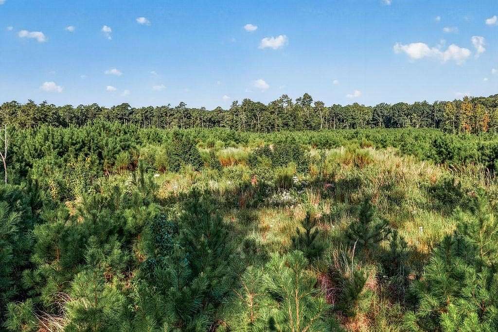 5.78 Acres of Residential Land for Sale in Georgetown, South Carolina