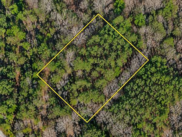 1.3 Acres of Residential Land for Sale in Lake City, South Carolina