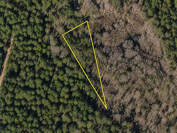 1 Acre of Residential Land for Sale in Greeleyville, South Carolina