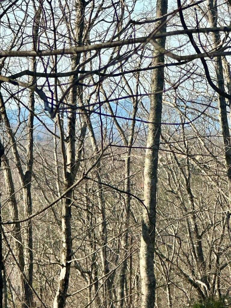 1.68 Acres of Land for Sale in Blue Ridge, Georgia