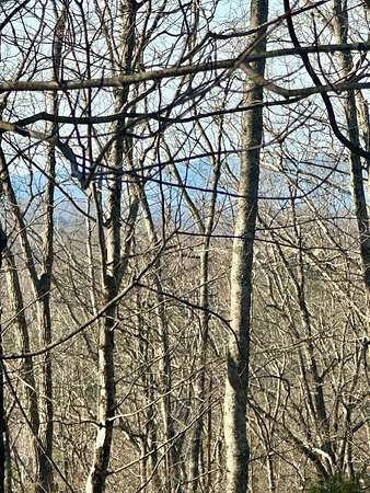 1.68 Acres of Land for Sale in Blue Ridge, Georgia