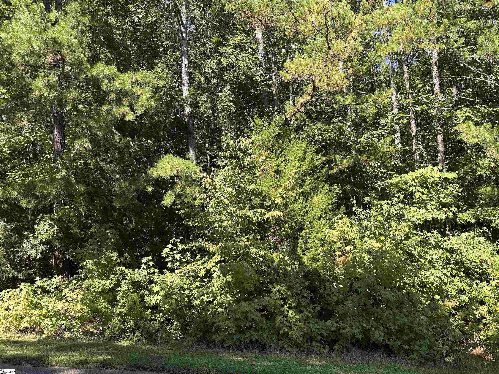 0.63 Acres of Residential Land for Sale in Laurens, South Carolina