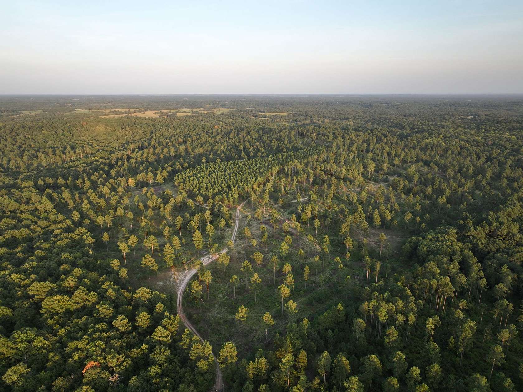 160 Acres of Agricultural Land for Sale in Antlers, Oklahoma