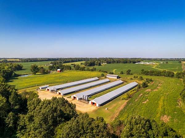 28 Acres of Agricultural Land with Home for Sale in Clinton, Kentucky