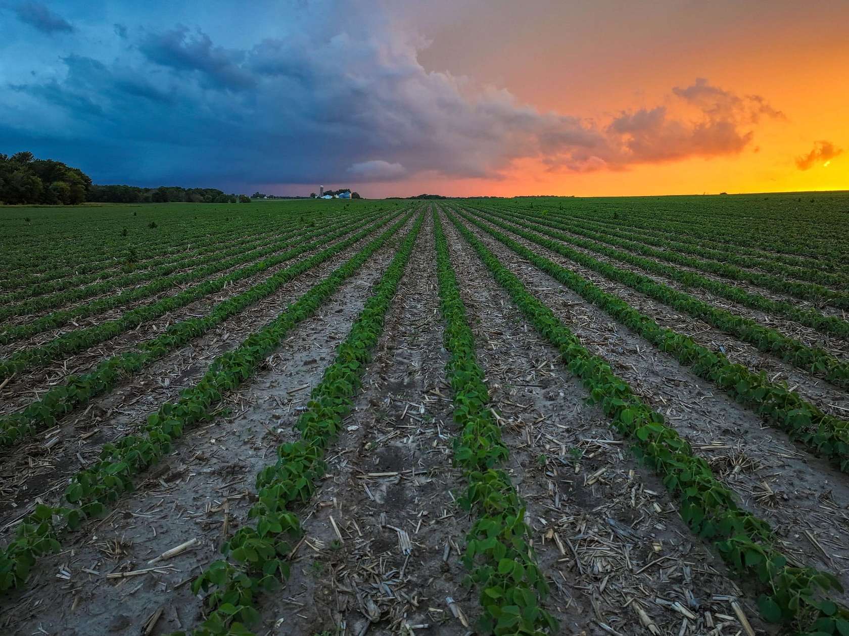 1,209 Acres of Land for Auction in Randalia, Iowa